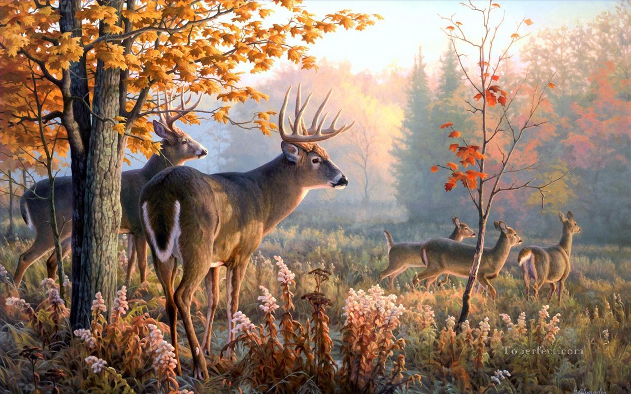 whitetail in autumn Oil Paintings